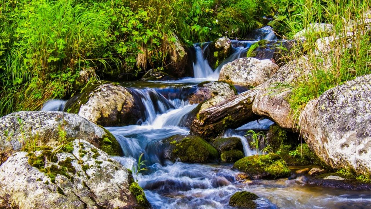 Referrals – The Never-Ending Stream